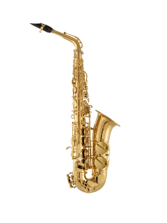 92GP HSP Professional Gold Alto Saxophone In Fr Vr Fs