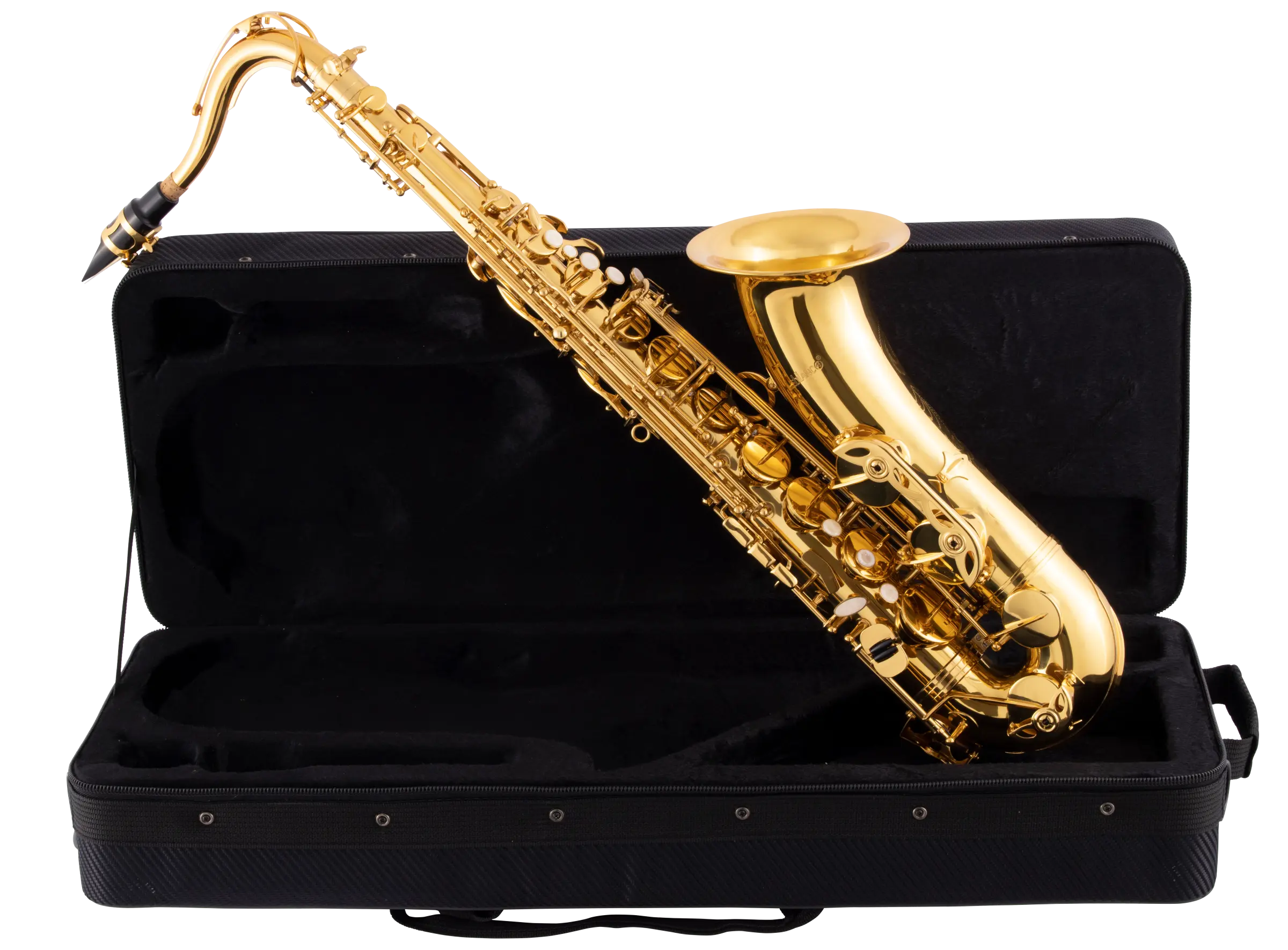 LTS211 Leblanc Student Tenor Saxophone - zoomed in