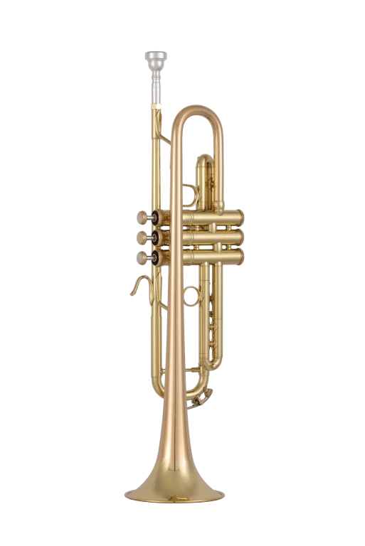 17043GYR Bach Professional Trumpet
