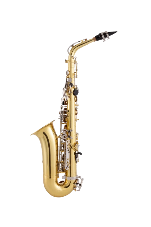 SAS202 Selmer Student AltoSaxophone