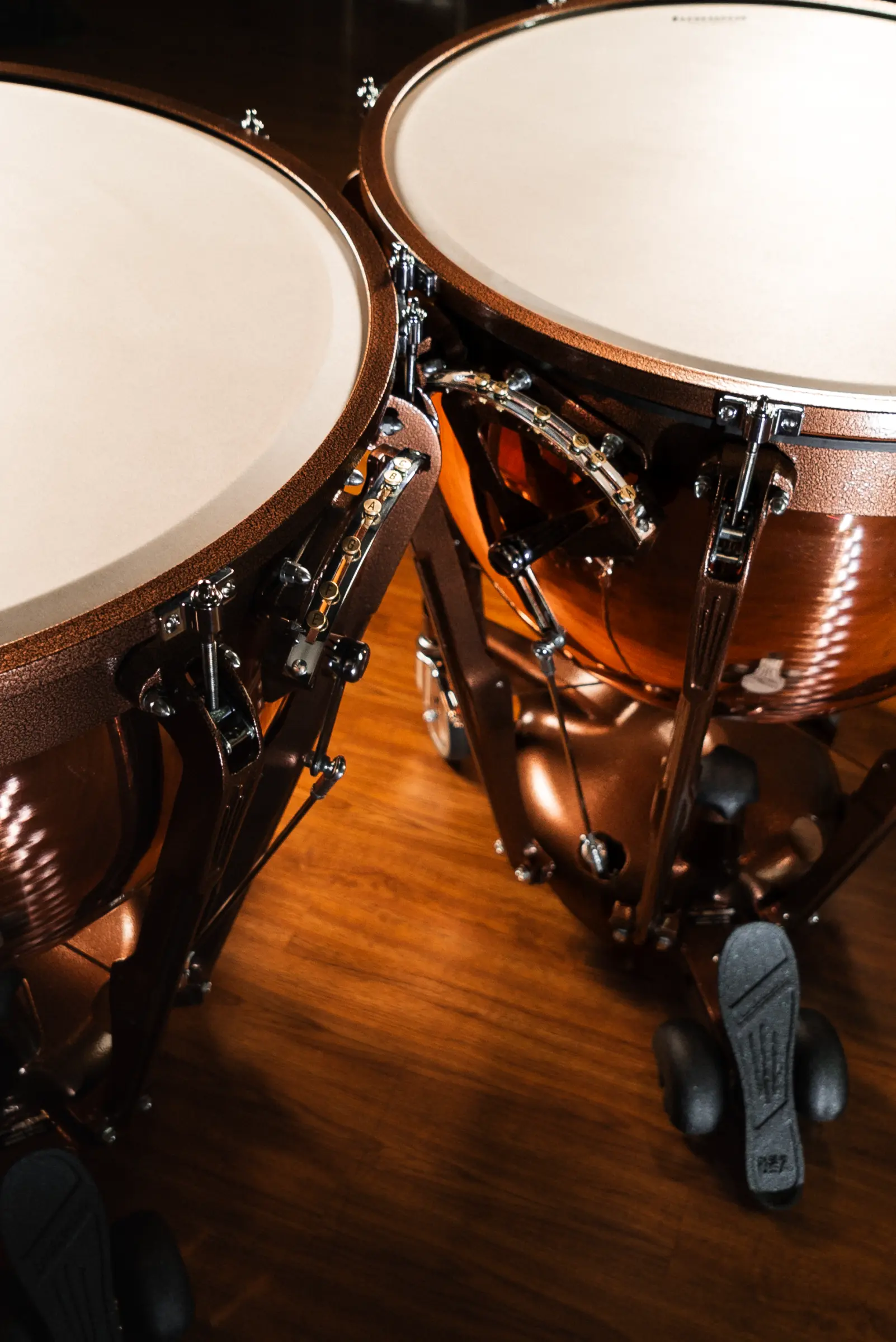LTP504PG Ludwig Timpani Standard Lifestyle - zoomed in
