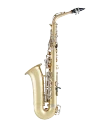 Selmer Alto Saxophone in Eb SAS201