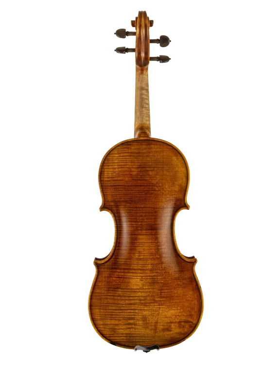 SR81E4H S&R Standard Advanced Violin In Bk Vr Fs