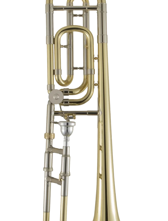 36B Bach Professional Standard Trombone In Fr Vr Ms