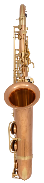 TWO20 Yanagisawa Professional Tenor Saxophone