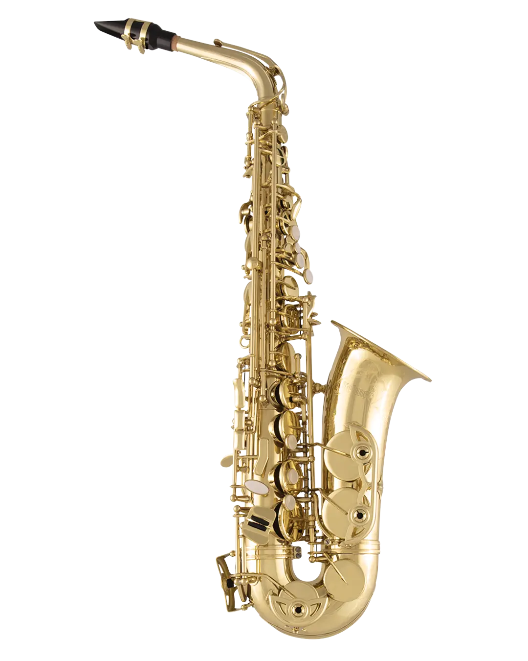 SAS711 Selmer Standard Professional Alto Saxophone In Fr Vr Fs - zoomed in