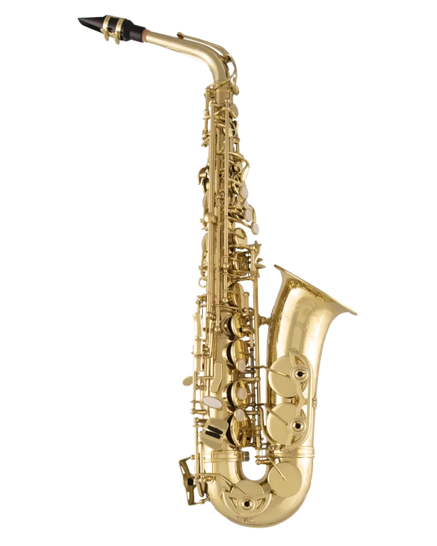 SAS711 Selmer Standard Professional Alto Saxophone In Fr Vr Fs