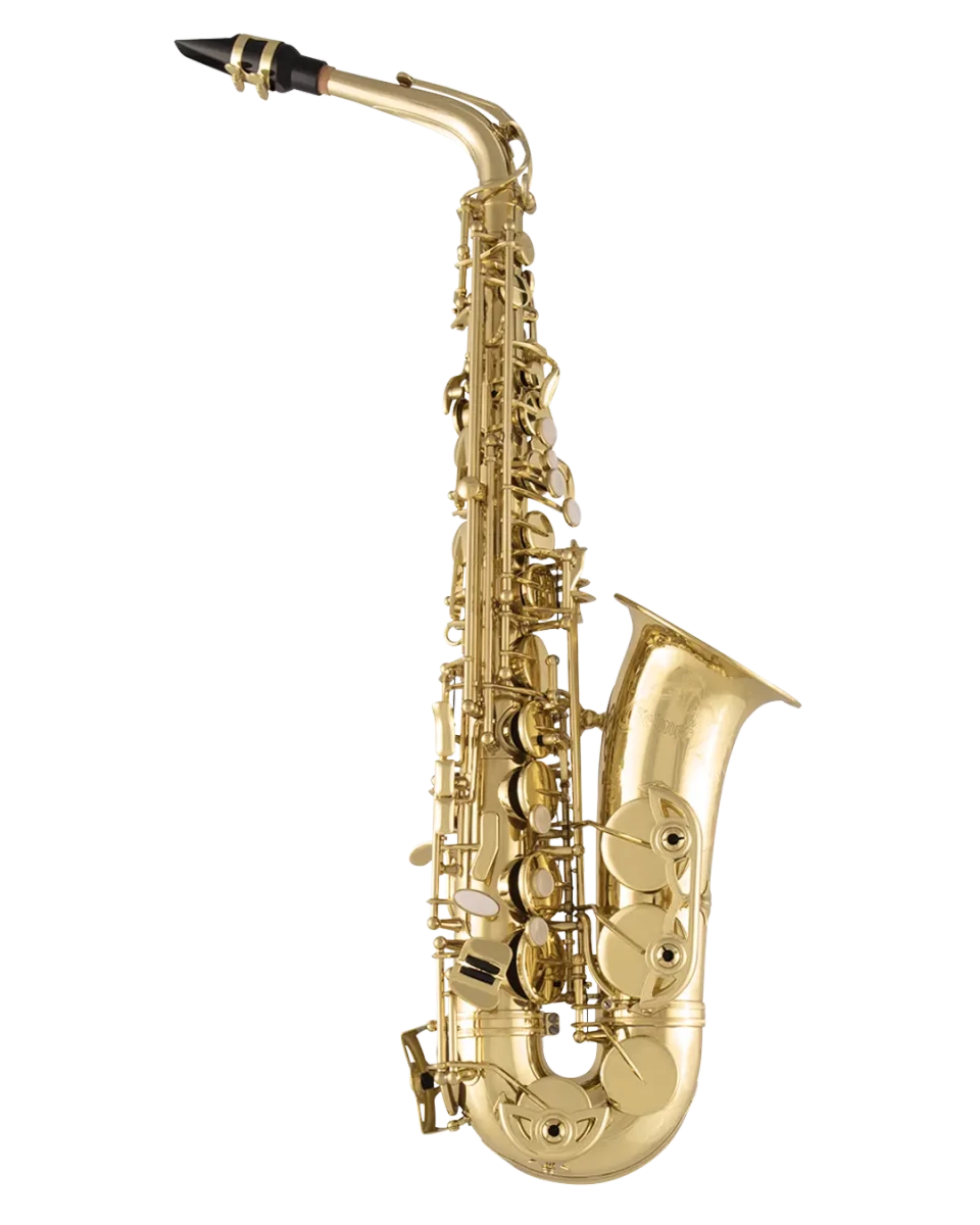 SAS711 Selmer Standard Professional Alto Saxophone In Fr Vr Fs