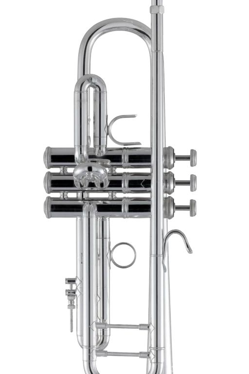 180S43 Bach Professional Silver Trumpet In Fr Vr Ms