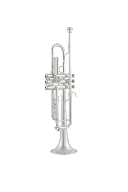 170S43GYR Bach Professional Trumpet