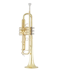 Bach Trumpet in Bb BTR411