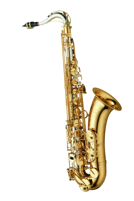 TWO30 Yaganisawa Professional Tenor Saxophone