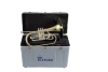 Slide 8 Thumbnail