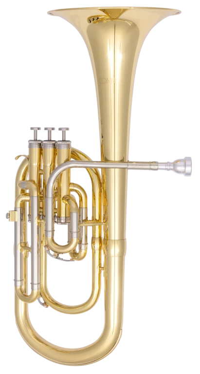 CAH311 Conn Beginner Alto Horn