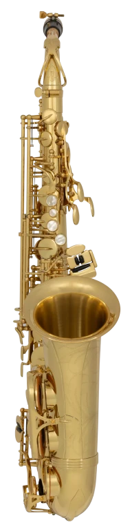AW01 Yanagisawa Professional Alto Saxophone