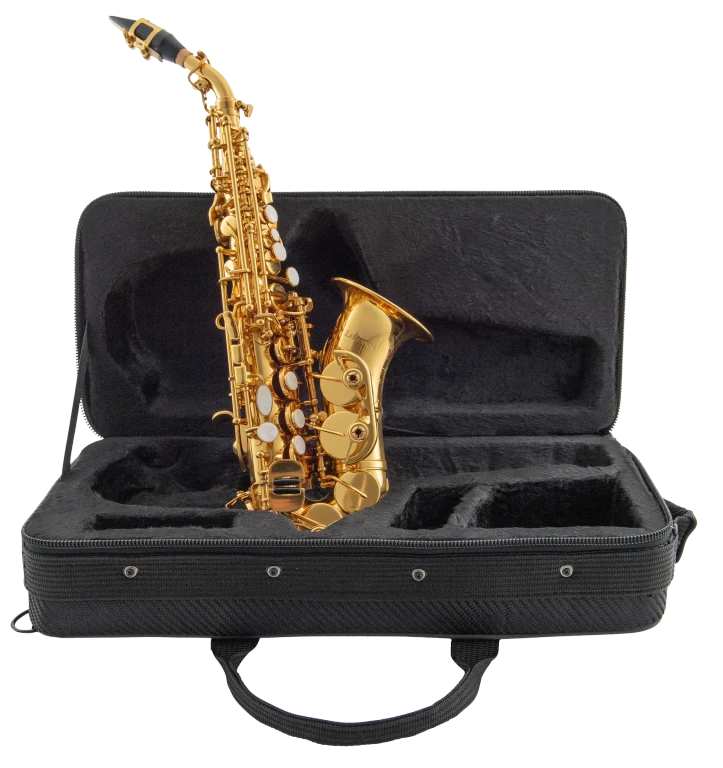 LSC311 Leblanc Beginner Curved Soprano Saxophone Assembled in Case