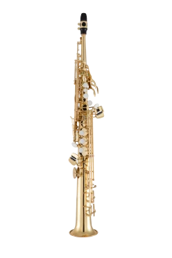 Selmer Soprano Saxophone in Bb SSS311