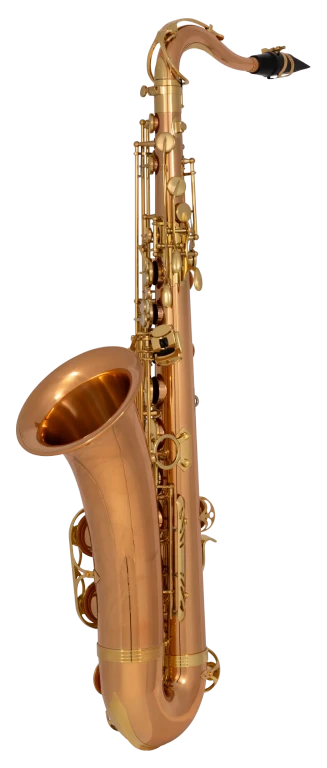 TWO2 Yanagisawa Professional Tenor Saxophone