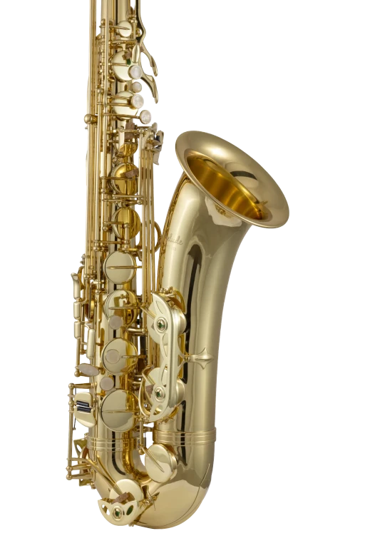 PTS111 Prelude Student Standard Tenor Saxophone In Fr Vr Ls