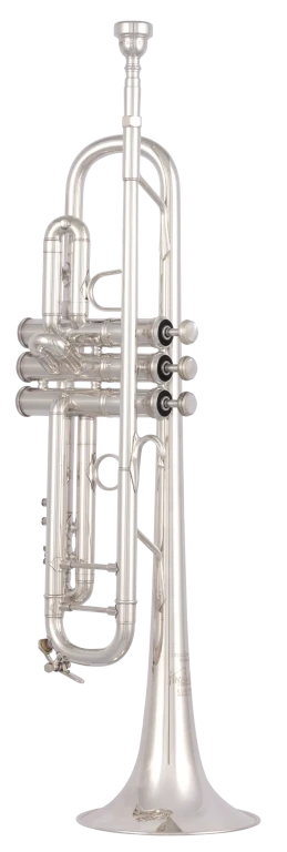 190S43 Bach Professional Trumpet