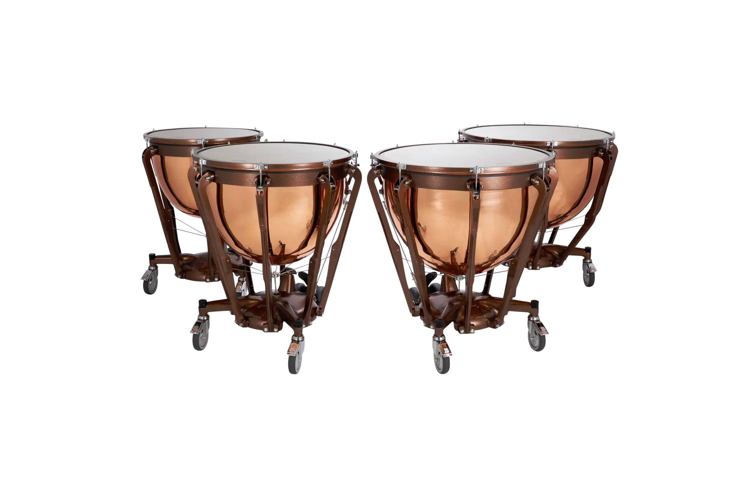 LTP504PG Ludwig Timpani Standard - zoomed in