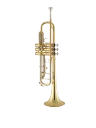 Bach Trumpet in Bb BTR311