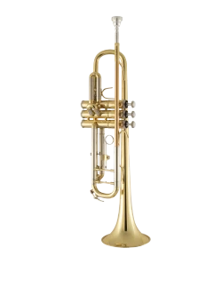 Bach Trumpet in Bb BTR311