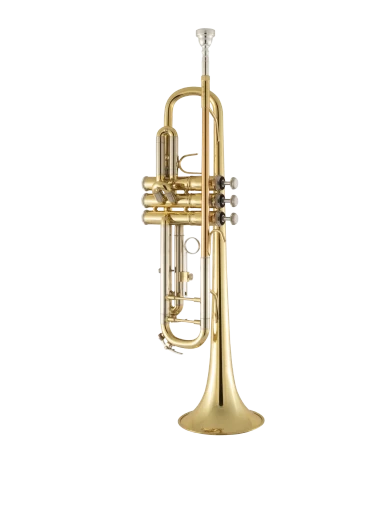 Bach Trumpet in Bb BTR311