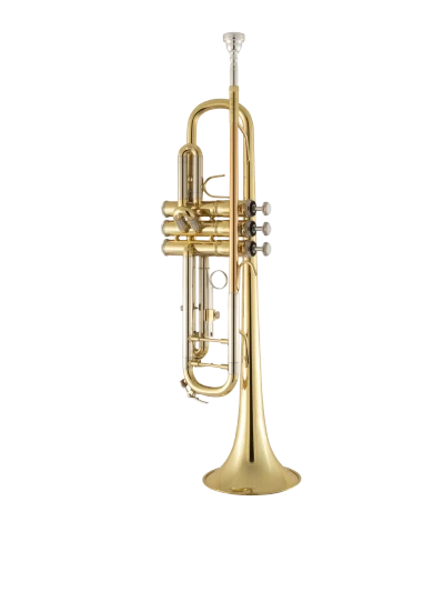 Bach Trumpet in Bb BTR311