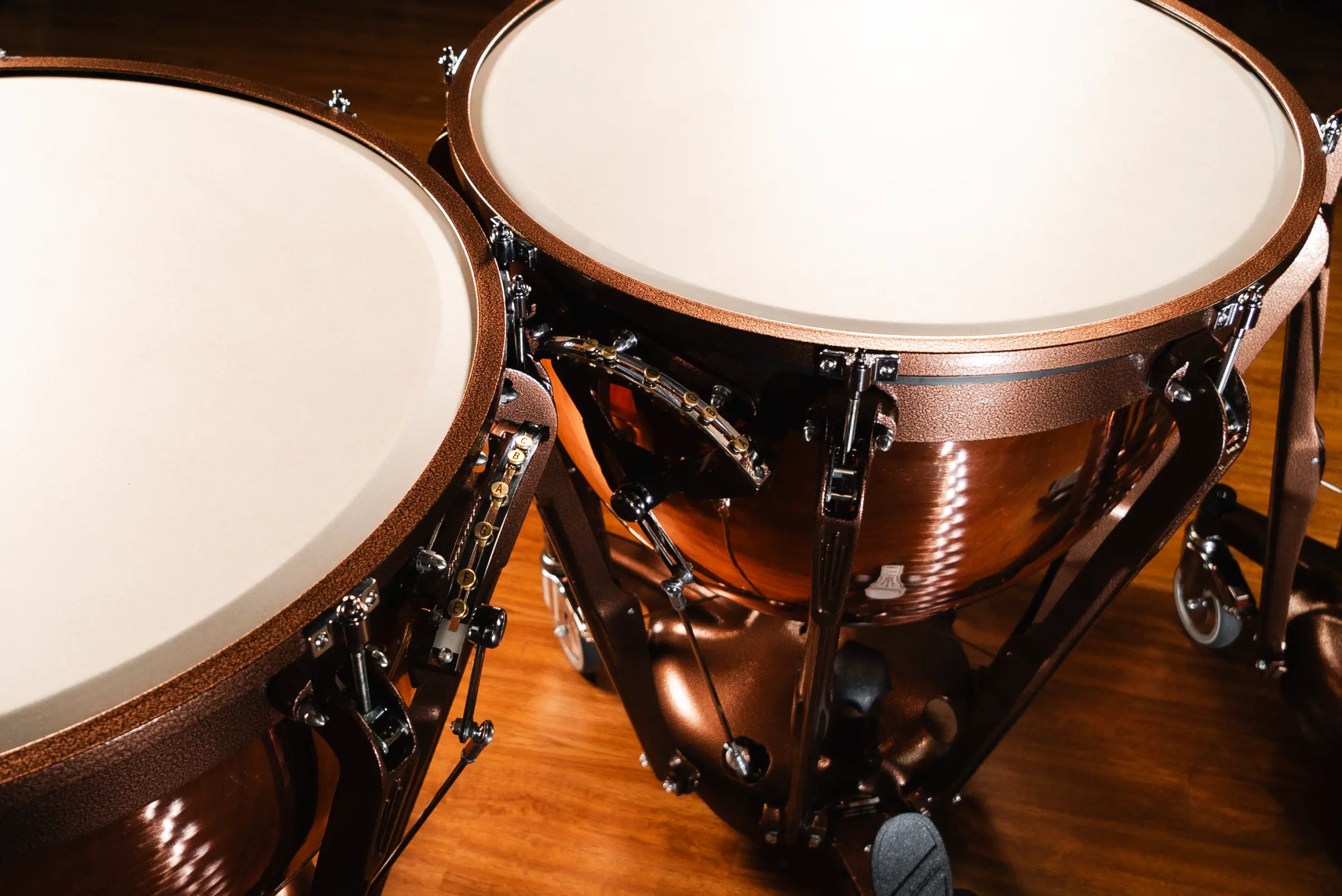 LTP504PG Ludwig Timpani Standard Lifestyle - zoomed in