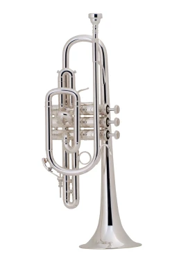 Bach Stradivarius Cornet in Bb 181SL