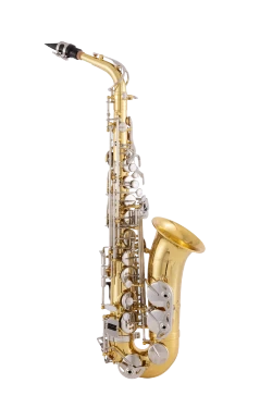 Selmer Alto Saxophone in Eb SAS202