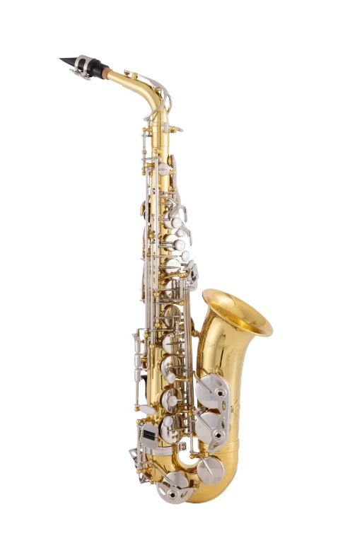 SAS202 Selmer Student AltoSaxophone