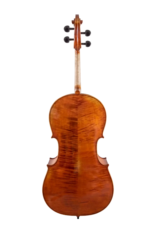 SR75E4H S&R Professional Cello