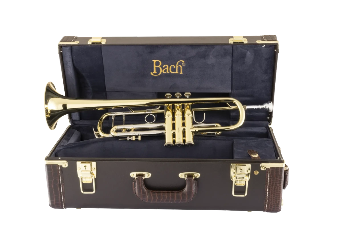 18043 Bach Professional Standard Trumpet Ic Fr Hz Fs 2