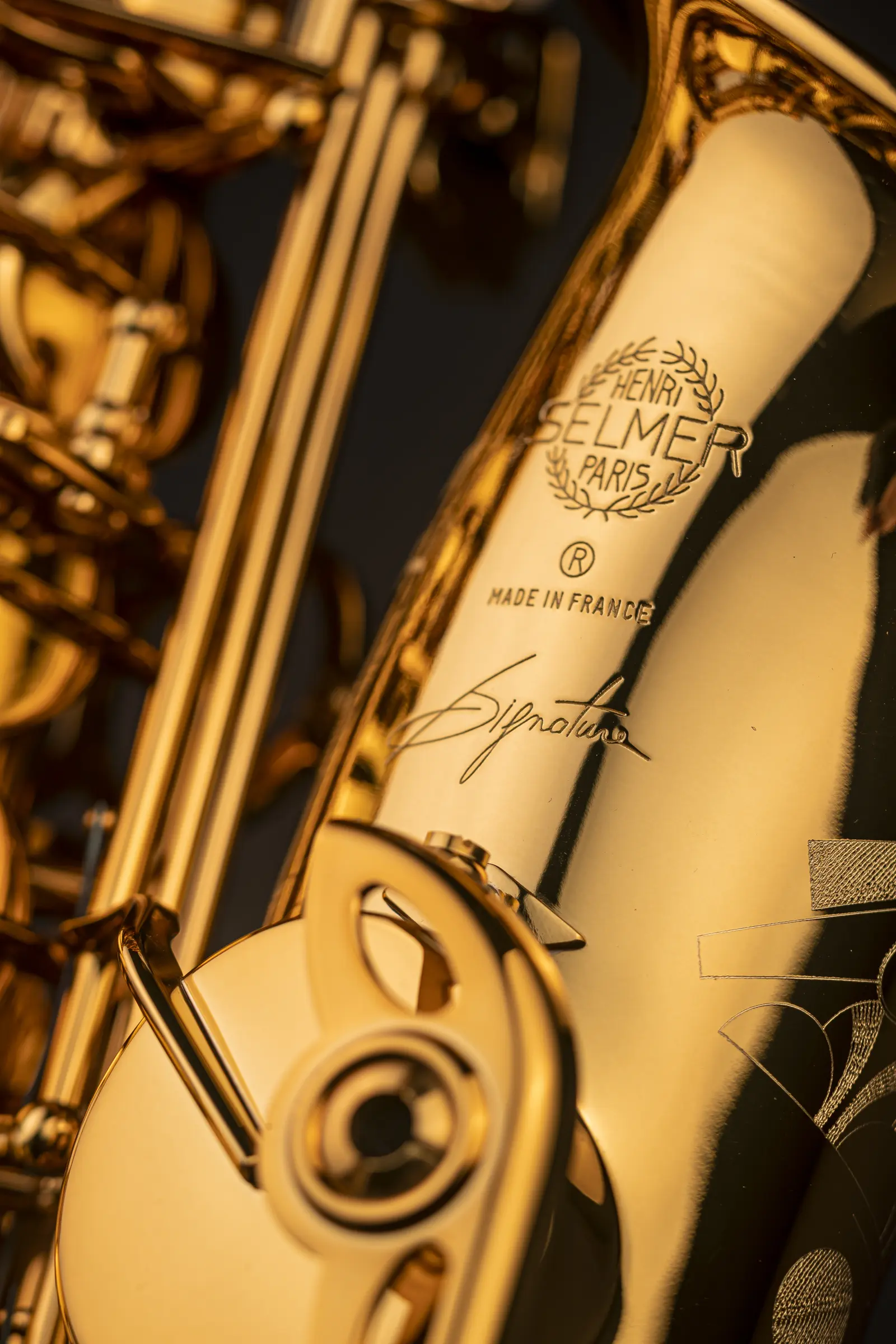 82SIG Selmer Professional Alto Saxophone ArtShot - zoomed in