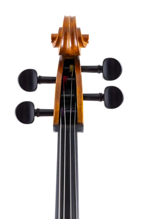 SR55E4H S&R Student Cello