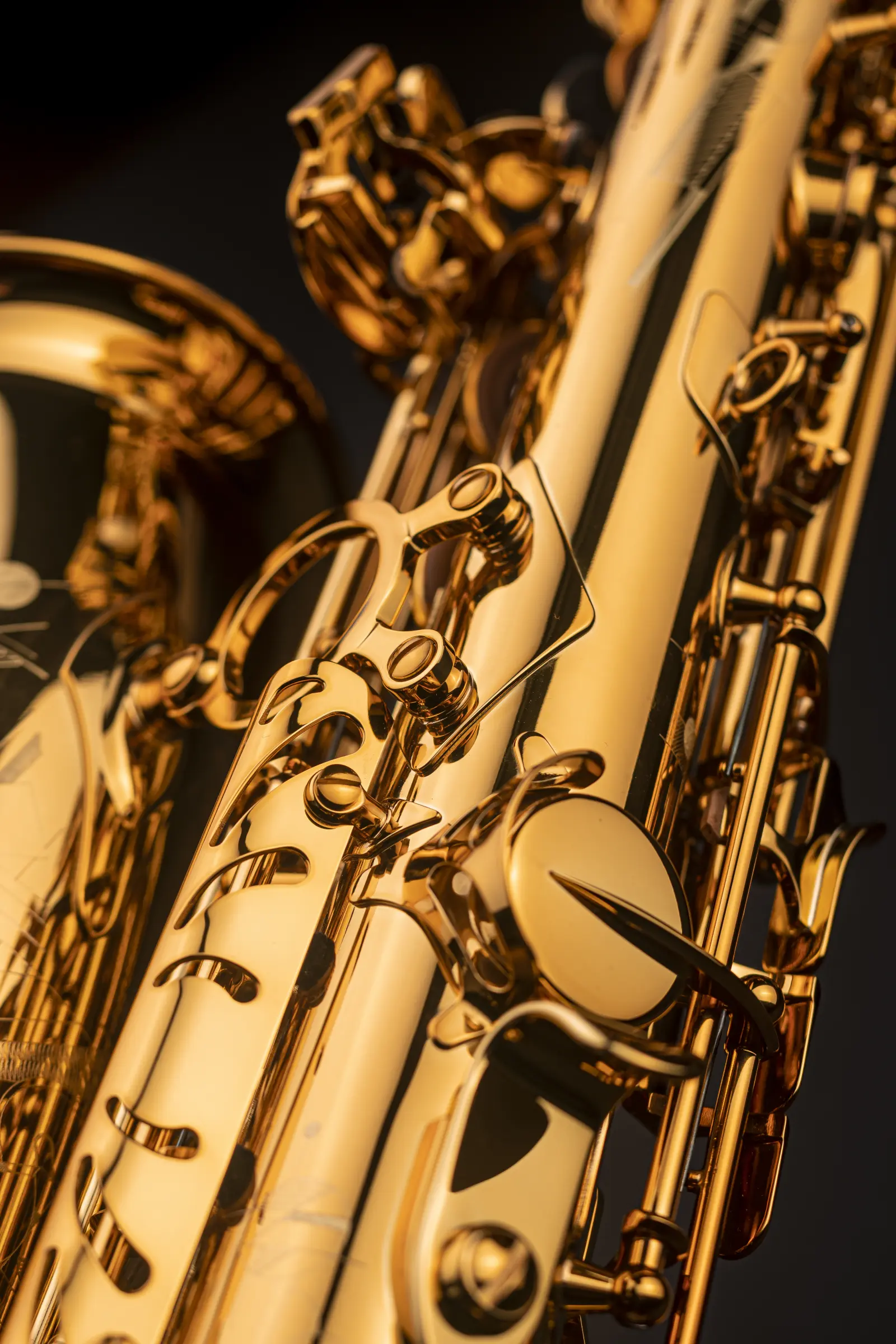 82SIG Selmer Professional Alto Saxophone ArtShot - zoomed in