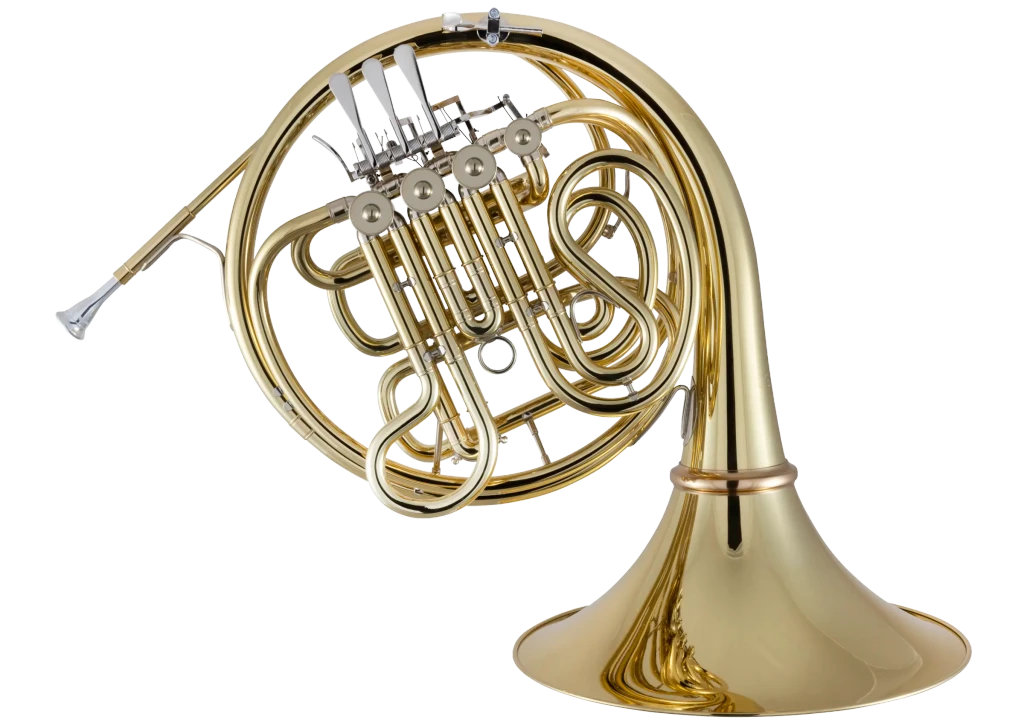 10DYS Conn Professional French Horn