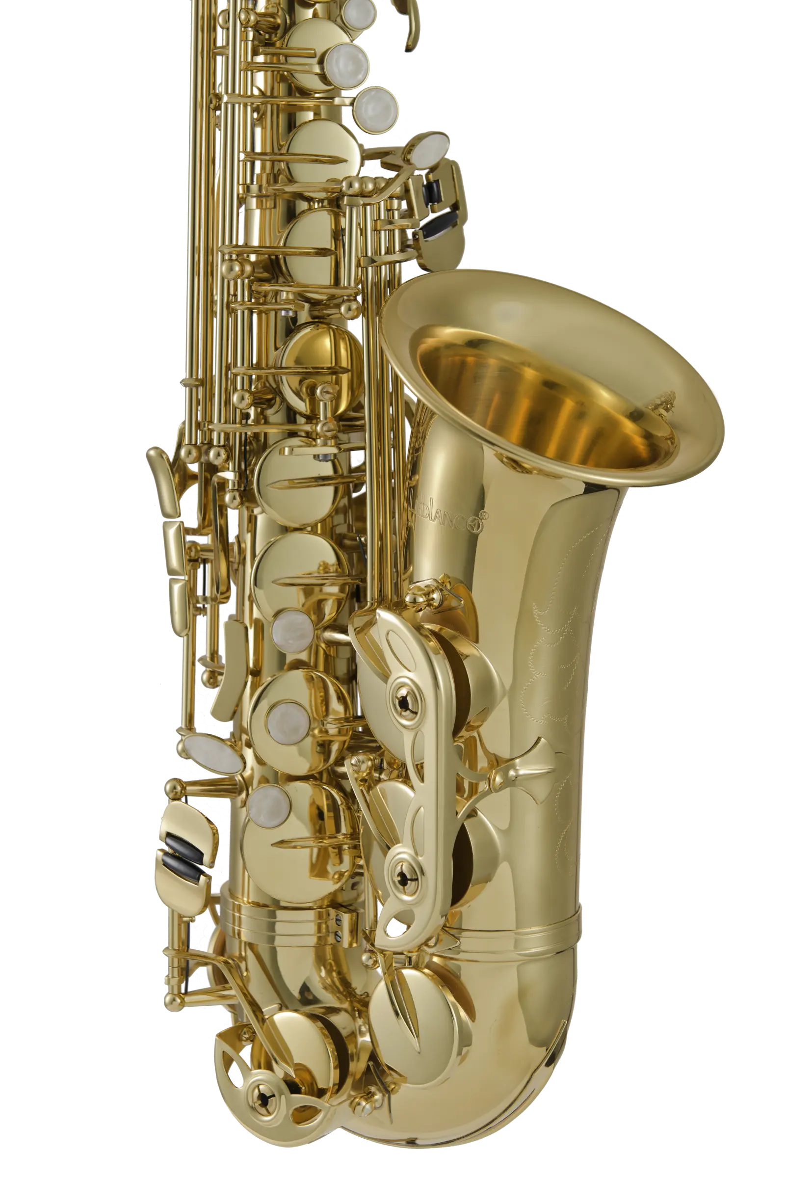 LAS211 Leblanc Student Alto Saxophone - zoomed in