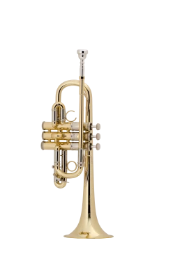 Bach Artisan Trumpet in D/Eb/E AE190 in E flat