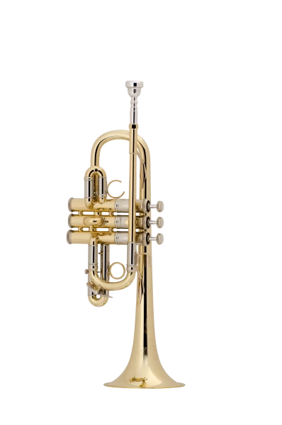 Bach Artisan Trumpet in D/Eb/E AE190 in E flat