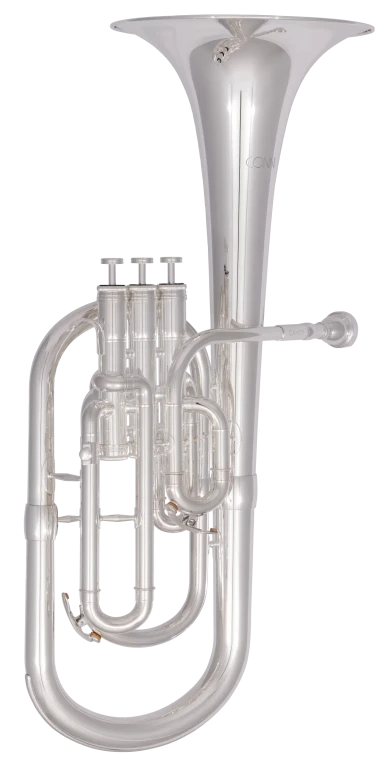 CAH311S Conn Beginner Alto Horn