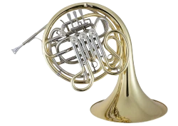 Conn Artist Double Horn in F/Bb 6D