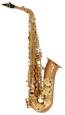 Yanagisawa Elite Alto Saxophone in Eb AW020