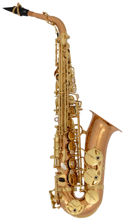 AW020 Yanagisawa Professional Alto Saxophone