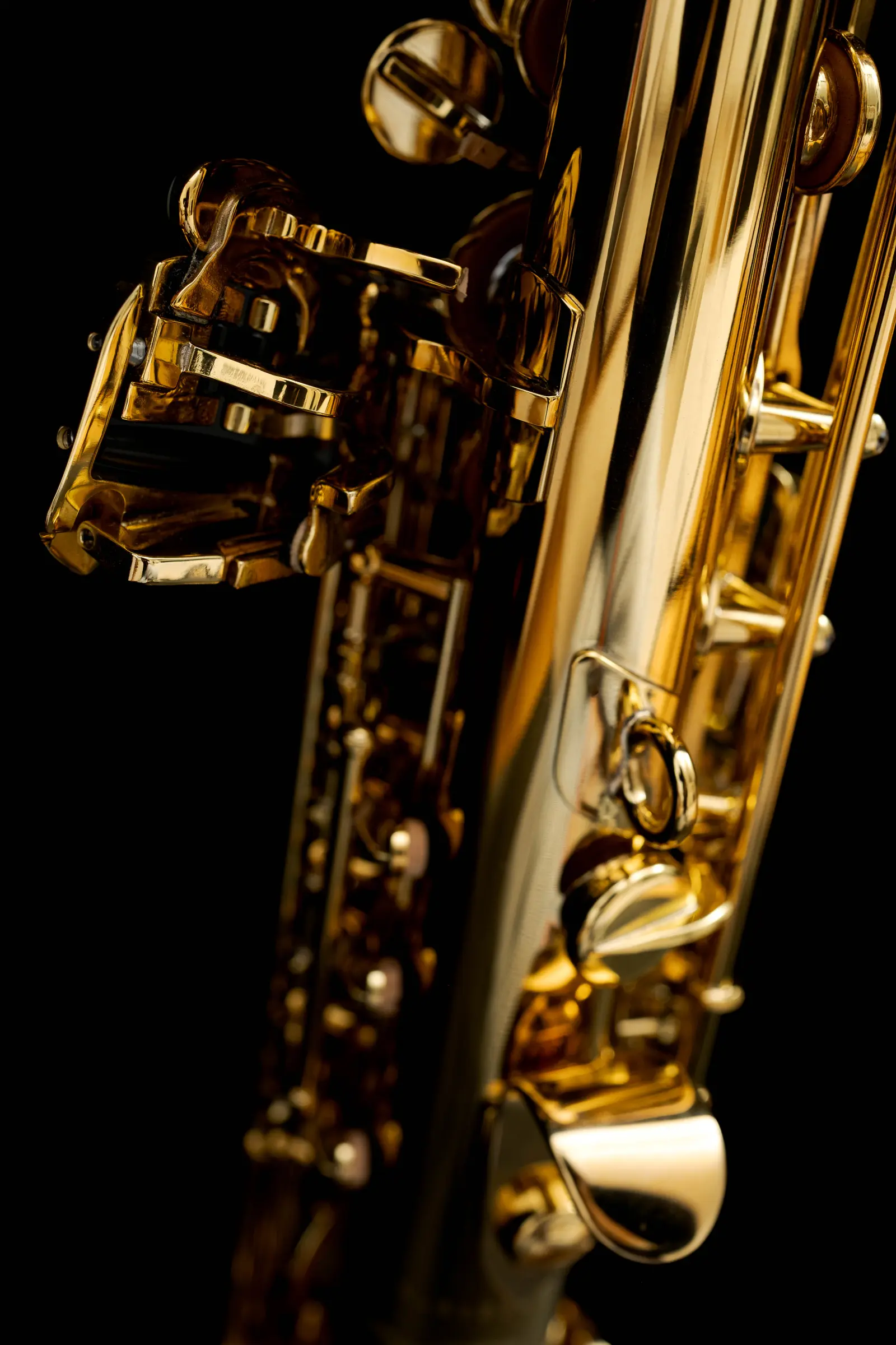 81SIG Henri SELMER Paris Signature Professional Soprano Saxophone - zoomed in