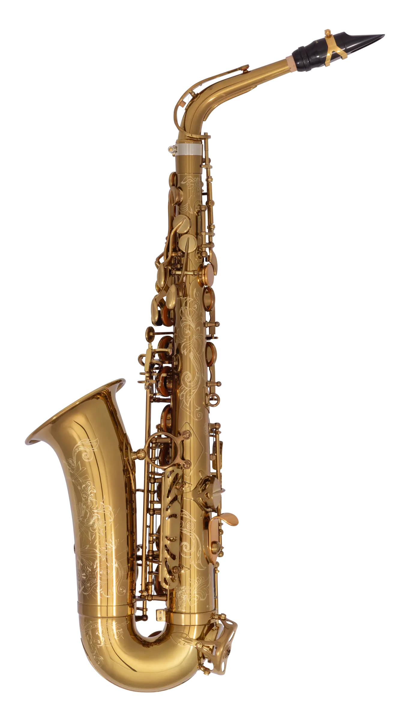 82SIGUSA1 HSP Professional  Alto - zoomed in