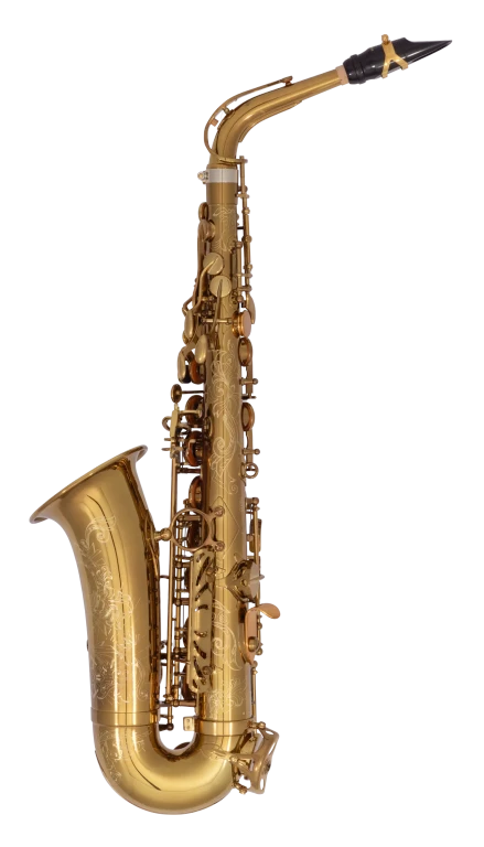 82SIGUSA1 HSP Professional  Alto