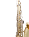 Selmer Tenor Saxophone in Bb STS201